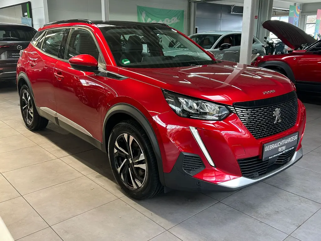 PHOTO-2025-10-31-13-02-49 (14).webp