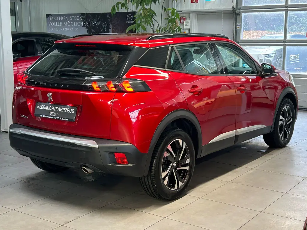 PHOTO-2025-10-31-13-02-50 (8).webp