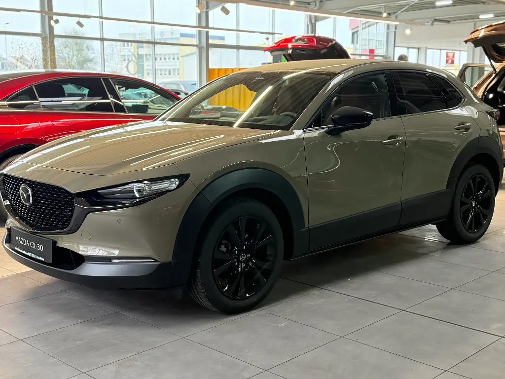 Mazda CX-30 140ps 6AT Nagisa/Kamera/Acc/Elktr.Sitz/Nav 