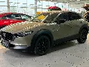 Mazda CX-30 140ps 6AT Nagisa/Kamera/Acc/Elktr.Sitz/Nav 