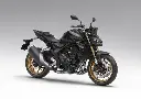 Honda CB1000 Hornet SP | 2025 |